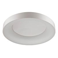 потолочный светодиодный светильник odeon light sole 4062/80cl в Сургуте