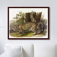 картина: jaguar, 1841г. в Сургуте