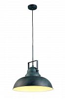 подвесной светильник arte lamp martin a5213sp-1bg в Сургуте