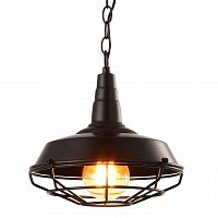 подвесной светильник arte lamp ferrico a9181sp-1bk в Сургуте