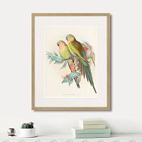 картина: love parrots, 1850г. в Сургуте