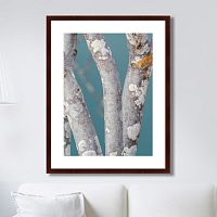 картина: trees on the galapagos islands, ecuador no1 в Сургуте