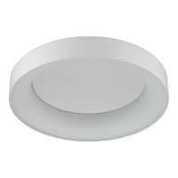 потолочный светодиодный светильник odeon light sole 4062/40cl в Сургуте