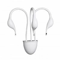 бра lightstar cigno collo wt 751636 в Сургуте