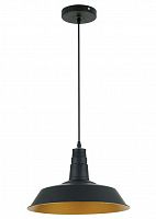 подвесной светильник odeon light kasl 3378/1 в Сургуте