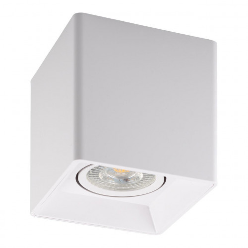 потолочный светильник denkirs dk3030-wh в Сургуте