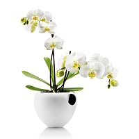 горшок для орхидеи orchid pot белый в Сургуте