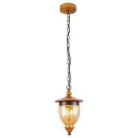 подвесной светильник arte lamp catena a6711sp-1br в Сургуте