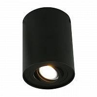 потолочный светильник arte lamp a5644pl-1bk в Сургуте