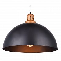 подвесной светильник arte lamp eurica a4249sp-1bk в Сургуте