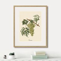 картина juicy fruit lithography №13, 1870 г., 42х52 см в Сургуте