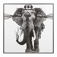 постер ornate elephant черный в Сургуте