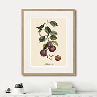 картина: juicy fruit lithography №6, 1870г. в Сургуте