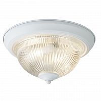 потолочный светильник arte lamp aqua a9370pl-2wh в Сургуте