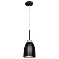 подвесной светильник loft it restor loft4402a-bl в Сургуте