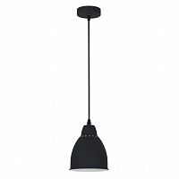 подвесной светильник arte lamp braccio a2054sp-1bk в Сургуте