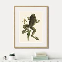 картина: big jumping frog, 1745г. в Сургуте