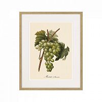 картина juicy fruit lithography №13-1, 1870 г., 42х52 см в Сургуте