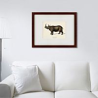 картина: rhinoceros ancienne gravure, 1849 в Сургуте