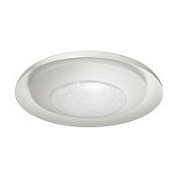 потолочный светодиодный светильник odeon light benso 4623/48cl в Сургуте