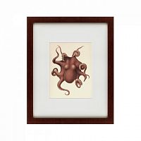 картина: pacific octopus, 1731 в Сургуте