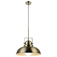 подвесной светильник arte lamp martin a5213sp-1ab в Сургуте