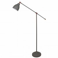 торшер arte lamp braccio a2054pn-1gy в Сургуте