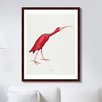 картина: scarlet ibis, 1827г. в Сургуте