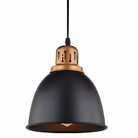 подвесной светильник arte lamp eurica a4245sp-1bk в Сургуте