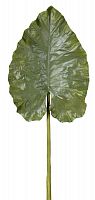 декор giant taro leaf в Сургуте