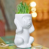 горшок для растений eco игнорик в Сургуте