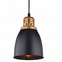 подвесной светильник arte lamp eurica a4248sp-1bk в Сургуте