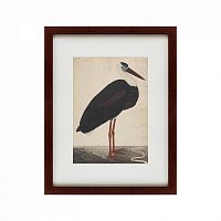 картина: black stork in a landscape, индия, 1780 в Сургуте