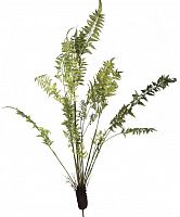 декор fern plant в Сургуте