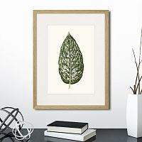 картина: single leaf of a plant №1, 1865г. в Сургуте