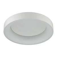 потолочный светодиодный светильник odeon light sole 4062/50cl в Сургуте